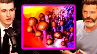 Lex Fridman talks about his experience on magic mushrooms