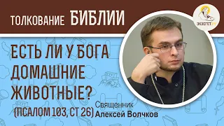 Есть ли у Бога домашние животные? (Псалом 103, Стих 26) Священник Алексей Волчков. Толкование Библии