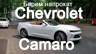 Chevrolet Camaro 2017 берём на прокат