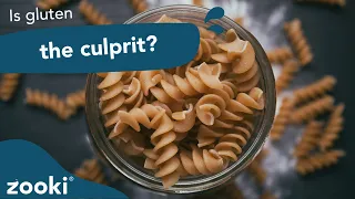 What’s The Connection Between Gluten And Gut Health? | Gut Microbiome Explained | Zooki