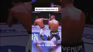 Barboza's wheel kick#shorts #ufc #mma #kick #knockout