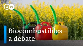 Alemania quiere reducir los cultivos dedicados a biocombustibles