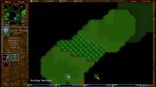 Warcraft 2 Forest Trail 2v2 u8t3io3p/hads vs daybreak/ziffer