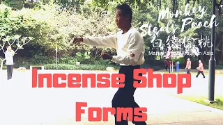 The Core Forms of Incense Shop Boxing