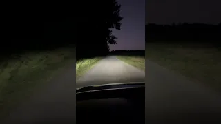 Stranger Things: That haunted road... at night