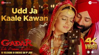 Udd Ja Kaale Kawan - Gadar (Re-Release) | Sunny Deol & Ameesha Patel | Alka Yagnik & Udit Narayan