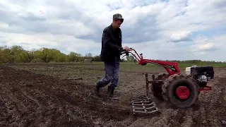 Боронование огорода мотоблоком мтз 🚜