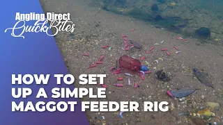 How To Set Up A Simple Maggot Feeder Rig... Coarse Fishing Quickbite