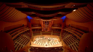 OFFICIAL TOUR - The Walt Disney Concert Hall - Los Angeles