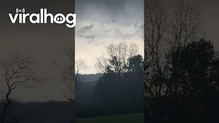 Tornado Forms in Sunbright, Tennessee || ViralHog