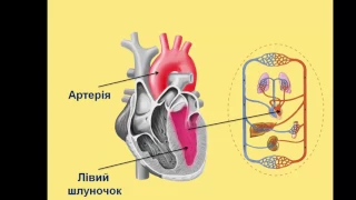 Транспорт речовин