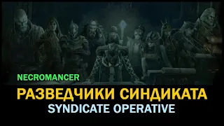 [ Гайд ] 3.14 Necromancer // Syndicate Operative // Разведчики синдиката // Guide