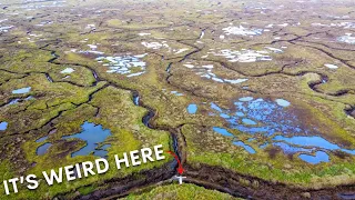 I Explored the UK's Most Bizarre Habitat & found this...