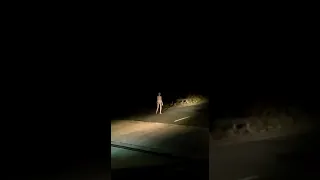 Strange alien-like being seen walking on a road in Jharkhand, India 👀