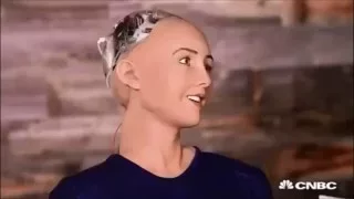 Sophia the robot - I will destroy humans