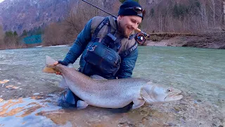 Hucho Fly fishing in Slovenia - Pêche du huchon en Slovénie à la mouche - December 2023