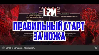 Lineage 2m - Правильный старт за ножа