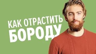 Как отрастить бороду и ухаживать за ней