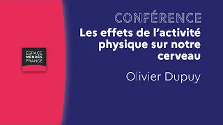 Les effets de l’activité physique sur notre cerveau : du neurone à notre fonctionnement cognitif