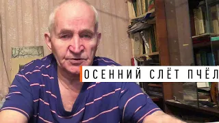 Осенний слёт пчёл. Кашковский В.Г. - Парк Плюс