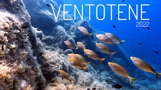 Ventotene + Immersioni - Giugno 2022