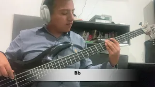 Easy On Me - Adele (BASS COVER)