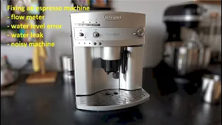 Fix espresso machine that leaks and stops running (gaskets & flow-meter problem)