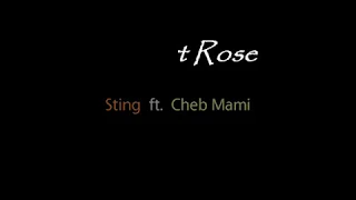 Sting feat  Cheb Mami   -    Desert Rose Lyrics