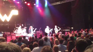 Weezer - Buddy Holly - live