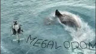 Megalodon - A gyilkos cápa | teljes film magyarul #iratkozz fel