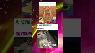 МЕМчик из Тик-ток 485 😆 #юмор #мемы #приколы #shorts #tiktok #meme #memes