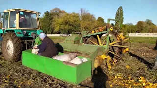 Молотіння гарбуза.Ура ПЕРЕМОГА! Добиваєм останню ділянку гарбуза. Знову в сторою.