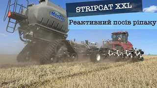 Stripcat XXL & Tempo L. Сіємо ріпак на 70см по STRIP-TILL! 100 гектарів в день легко! ✅