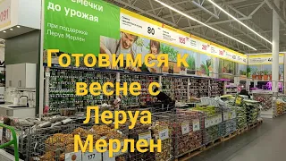 готовимся к весне с Леруа Мерлен #воронеж #скоровесна #цветы