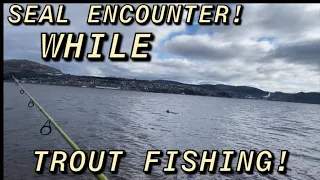 Fishing for SEA TROUT in Newfoundland! (Huge seal encounter, dirt bike riding, and a cook up!)
