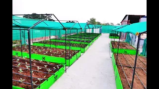 LIVE VISIT OF AN ORGANIC VEGETABLE FARM ON ROOFTOP