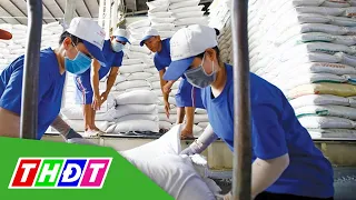 Ấn Độ hạn chế xuất khẩu gạo - Cơ hội cho Việt Nam bứt phá | THDT