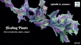 Ayurveda to Big Pharma: the Wonder of Healing Plants (Ep 6)