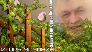 788. Игорь Малинин - Зашумели Сады Листвой. НОВИНКИ ШАНСОНА.