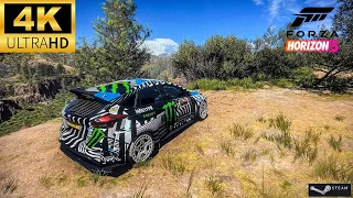 Focus RS Hoonigan | Steering Wheel | Forza Horizon 5