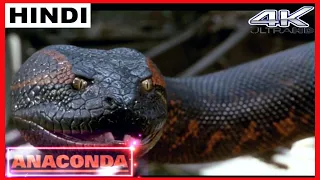 ANACONDA (1997) Movie Last Scene In Hindi |  Anaconda Movie Clip in Hindi