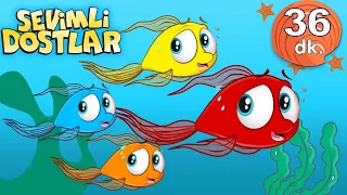 Kırmızı Balık ile Renkleri Öğreniyorum Sevimli Dostlar Bebek Şarkıları | Adisebaba TV Nursery Rhymes