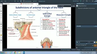 Anterior Triangle of Neck - Dr. Ahmed Farid