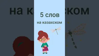 5 слов на казахском #казахский #учимказахский #казахстан