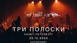 Animal ДжаZ- Три Полоски Live Санкт-Петербург 25.12.2022 Космонавт.