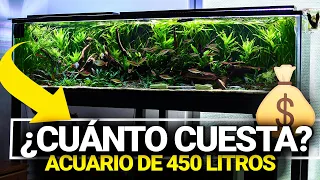 Esto cuesta EL ACUARIO PLANTADO de 450L (Y cómo ahorrar en algunos apartados)