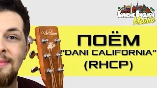 О Чём Песня "Dani California" (Red Hot Chili Peppers) Lynchie English Music