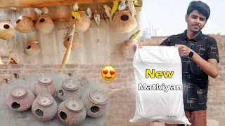 New Matkiyan Laga Di 😍 Budgies Breeding Colony 🥰 Pets Vlog