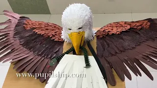 Eagle wings DIY | how to make eagle | how to make bird craft | angle wings | eagle dress DIY