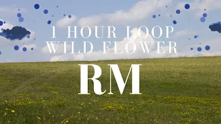 RM with youjeen Wild Flower Loop | RM 들꽃놀이 Indigo 1 Hour Loop | #rm #indigo #wildflower